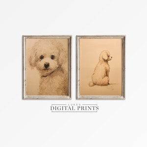 Bichon Frise Portrait Drawing Print Set Of 2 - Digital Download Bundle - Antique Cute Dog Sketch&#39;s PRINTABLE Art Decor