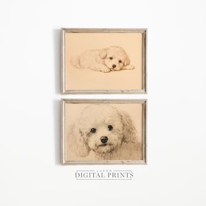 Set Of 2 Bichon Frise Portrait Prints - Digital Art Downloads - Rustic Pet Dog Sketch&#39;s PRINTABLE Decor Artwork Bundle