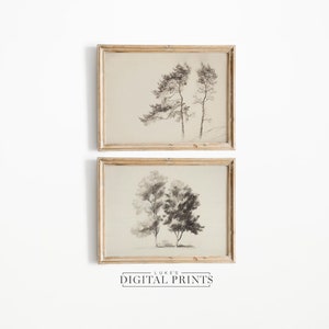 Antique Tree Sketch Print Set Of 2 - Digital Download Bundle - Neutral Forest Pencil Drawings PRINTABLE Decor