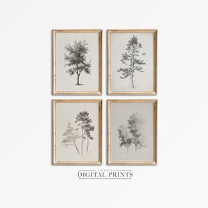 Tree Sketch Art Print Set Of 4 - Digital Drawing Downloads - PRINTABLE Minimalist Forest Artwork Collection