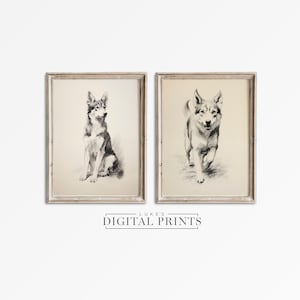 Siberian Husky Portrait Art Print Bundle - Digital Download Artworks - Classic Cute Dog Sketch Drawing Set Of 2