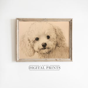 Rustic Bichon Frise Portrait Print - Digital Art Download - Vintage Pet Dog Sketch PRINTABLE Living Room Decor Artwork