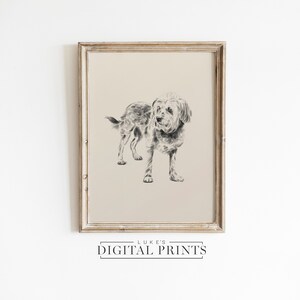 Dog Portrait Sketch From Photo - CUSTOM Digital Download Artwork - Animal Lover Gift - Hand Drawn Pet Drawing - Personalized Digital Dog Art