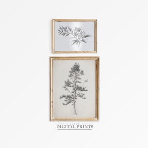 Vintage Botanical Sketch Print Set Of 2 - Minimalist Tree Antique Drawing PRINTABLE Wall Art - Digital Download - Gallery Wall Set