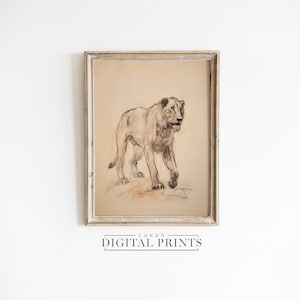 Female Lion Drawing Print - Digital Print Download - African Wild Animal Minimalist Sketch - Neutral Rustic Big Cat Artwork PRINTABLE