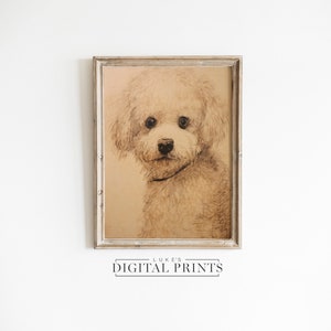 Neutral Bichon Frise Portrait Art Print - Digital Download - Antique Cute Dog Sketch PRINTABLE Decor Drawing