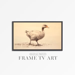 Samsung FRAME TV Art - Goose Drawing Artwork - Farm Animal Bird Digital Download - Countryside Sketch Home Decor