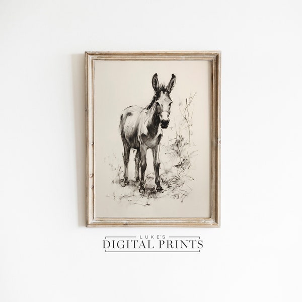 Donkey Drawing Print - Digital Art Download - Rural Country Animal Artwork - PRINTABLE Farm Animal Sketch