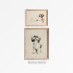 Vintage Style Shih Tzu Zeichnung Druck 2er Set - Digitale Kunst Downloads - Süßer Haustier Hund Bleistift Skizze Kunstwerk Bundle