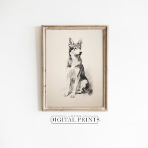 Siberian Husky Portrait Print - Digital Download Artwork - Classic Sitting Dog Sketch Decor - Rustic Moody Pet Wall Art Drawing