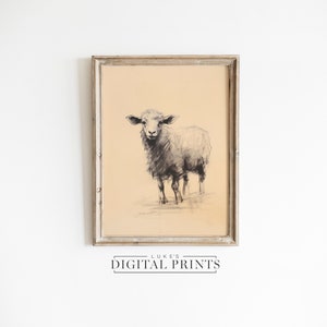 PRINTABLE Sheep Sketch Art - Digital Download - Farmhouse Animal Drawing Print - Woolly Lamb Artwork