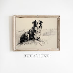 Border Collie Drawing Print - Digital Download - Working Dog Sketch Wall Art - Herding Pet Portrait PRINTABLE