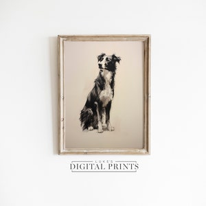 Sitting Border Collie Drawing Print - Digital Art Download - Cute Sheep Dog Wall Decor PRINTABLE Classical Pet Sketch