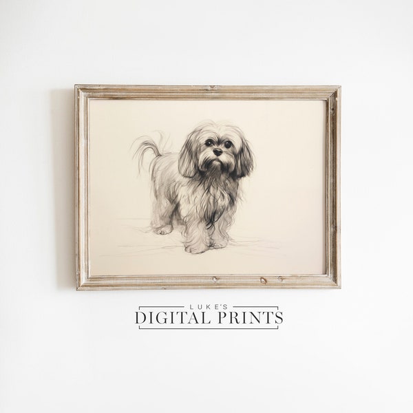 Shih Tzu Drawing Minimalist Art Print - Digital Download - PRINTABLE Vintage Cute Pet Dog Sketch