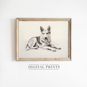 Siberian Husky Sitting Portrait Print - Digital Artwork Download - Rustic Moody Pet Wall Art Drawing - Classic Dog Sketch