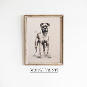 Boxer Dog Drawing - Digital Download Art Print - Vintage Style Pet Sketch PRINTABLE Minimalist Canine Artwork