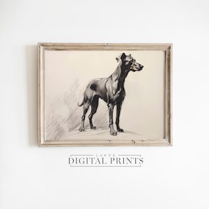 Black Doberman Sketch Art Print - Digital Download - Minimalist Big Pet Dog Drawing PRINTABLE Rustic Canine Artwork
