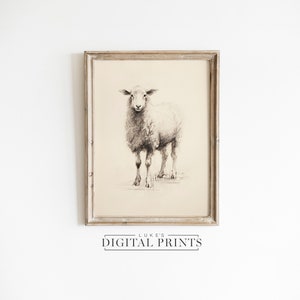 Sheep Print Drawing - Digital Art Download - Minimalist Farmhouse Animal Wall Decor - Cute Lamb Sketch PRINTABLE
