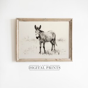 Donkey Sketch Print - Digital Art Download - PRINTABLE Farm Animal Drawing - Rural Country Animal Artwork