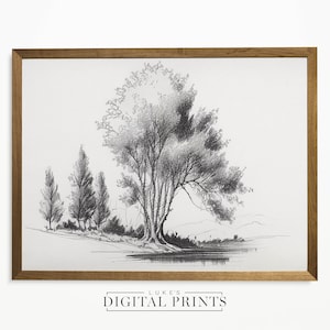Vintage Tree Sketch Print - Minimalist Botanical Antique Drawing PRINTABLE Wall Art - Digital Download