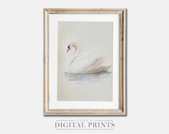 Vintage Swan Watercolour Art Print - Digital Download - Minimalist Bird Pencil Drawing - PRINTABLE Wall Art
