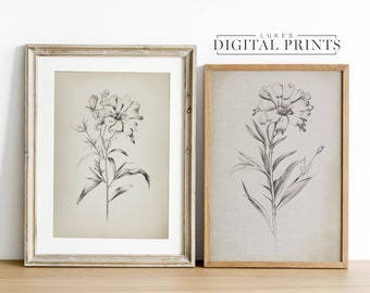 May include: Two framed black and white pencil drawings of a flower with a stem and leaves. The frames are different colors and styles. The text "LUKE'S DIGITAL PRINTS" is at the top of the image.