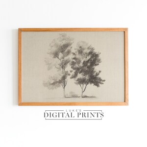 Rustic Trees Sketch Drawing - Digital Print Download - Antique Neutral Pencil Wall Art - PRINTABLE Botanical Woodland Decor