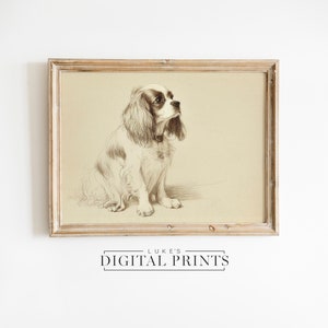 Cavalier King Charles Spaniel Portrait Sketch - Digital Print Download - Vintage Dog Drawing Wall Art - PRINTABLE Pet Portrait Wall Decor