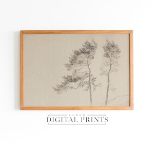Antique Tree Sketch - Digital Print Download - Neutral Pencil Drawing Decor - PRINTABLE Botanical Forest Wall Art