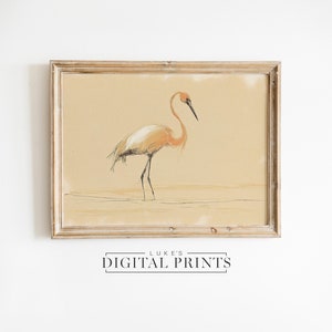 Rustic Flamingo Sketch Art - Digital  Print Download - Vintage American Bird Portrait Drawing Décor - PRINTABLE Minimalist Wildlife Wall Art