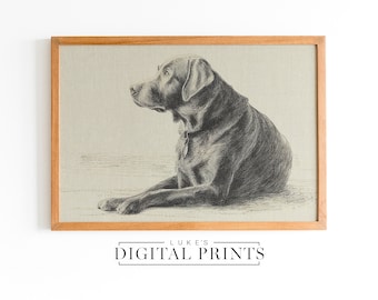 Black Labrador Portrait Drawing - Digital Print Download - Minimalist Dog Sketch Artwork - Animal Wall Decor Poster PRINTABLE