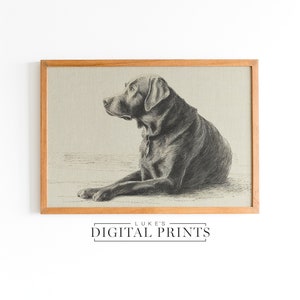 Black Labrador Portrait Drawing - Digital Print Download - Minimalist Dog Sketch Artwork - Animal Wall Decor Poster PRINTABLE