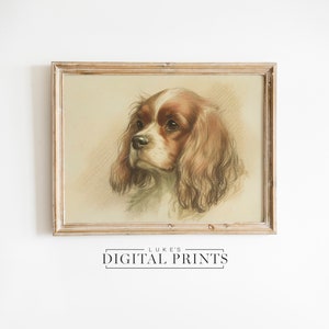 Vintage Cavalier Portrait Drawing - Digital Print Download - Rustic Spaniel Dog Sketch Wall Art - Minimalist Pet Decor PRINTABLE