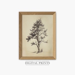 Vintage Tree Pencil Drawing - Digital Print Download - Antique Landscape Wall Decor - High Quality PRINTABLE Art