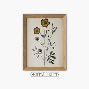 Vintage Wild Flowers - Digital Art Print - Botanical Drawing PRINTABLE Sketch Download