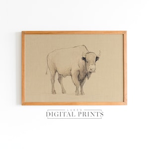 Minimalist Buffalo Sketch Portrait - Digital  Print Download - Vintage Western Drawing Décor - PRINTABLE Rustic Animal Wildlife Wall Art