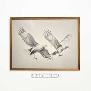 Adler im Flug Bleistift Zeichnung - Digitaldruck Download - Vintage Vogel Skizze Kunst Wand-Dekor - DRUCKBARE hochwertige Tierwelt Poster