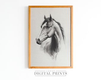 Horse Sketch Portrait - Digital  Print Download - Animal Wildlife Wall Art PRINTABLE - Equestrian Horse Head Abstract Drawing Decor