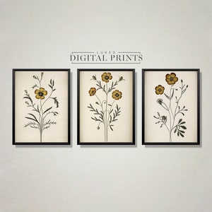 Set Of 3 - Wild Flowers Colour Sketch&#39;s - Digital Art Prints - Botanical Drawing PRINTABLE Downloads