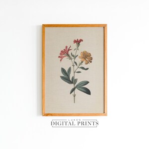 Rustic Botanical Flower Drawing - Digital Print Download - Rustic Floral Wall Art PRINTABLE - Vintage Neutral Wildflower Wall Decor