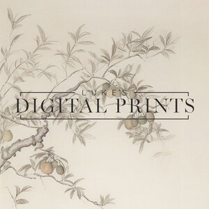 Rustic Tree Branch Sketch Print Set of 3 - Digital Download Artworks ...