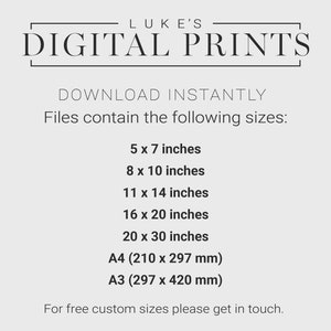 May include: Text on a white background that reads "LUKE'S DIGITAL PRINTS" in a black sans-serif font. Below the text, it says "DOWNLOAD INSTANTLY" and "Files contain the following sizes:" followed by a list of sizes in inches and millimeters: 5 x 7 inches, 8 x 10 inches, 11 x 14 inches, 16 x 20 inches, 20 x 30 inches, A4 (210 x 297 mm), A3 (297 x 420 mm). The text at the bottom reads "For free custom sizes please get in touch."