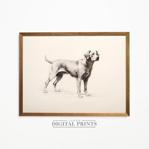 Silver Labrador Art Drawing Print - Vintage Digital Download- Pet Dog Sketch Wall Decor - PRINTABLE