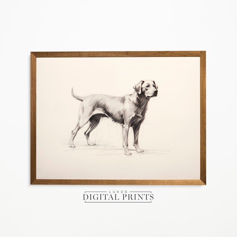 Silver Labrador Art Drawing Print - Vintage Digital Download- Pet Dog Sketch Wall Decor - PRINTABLE