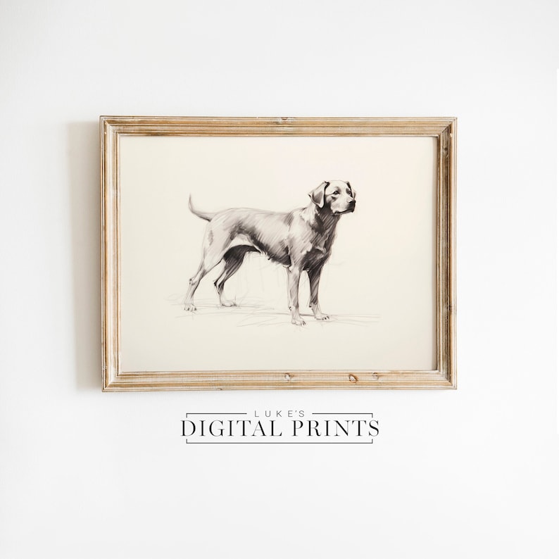 Silver Labrador Art Drawing Print - Vintage Digital Download- Pet Dog Sketch Wall Decor - PRINTABLE
