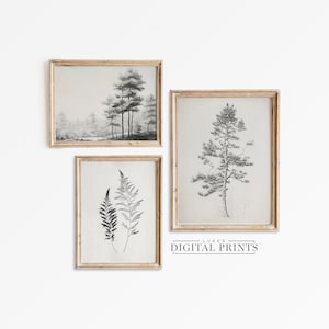 Tree Landscape Sketch Art Print Set Of 3 - Digital Download Bundle - PRINTABLE Leafy Branch Drawing Artwork