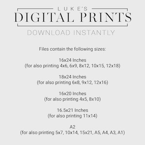 PDF document contains the download link to the following sizes:
16x24 Inches, 18x24 Inches, 16x20 Inches, 16.5x21 Inches, A2