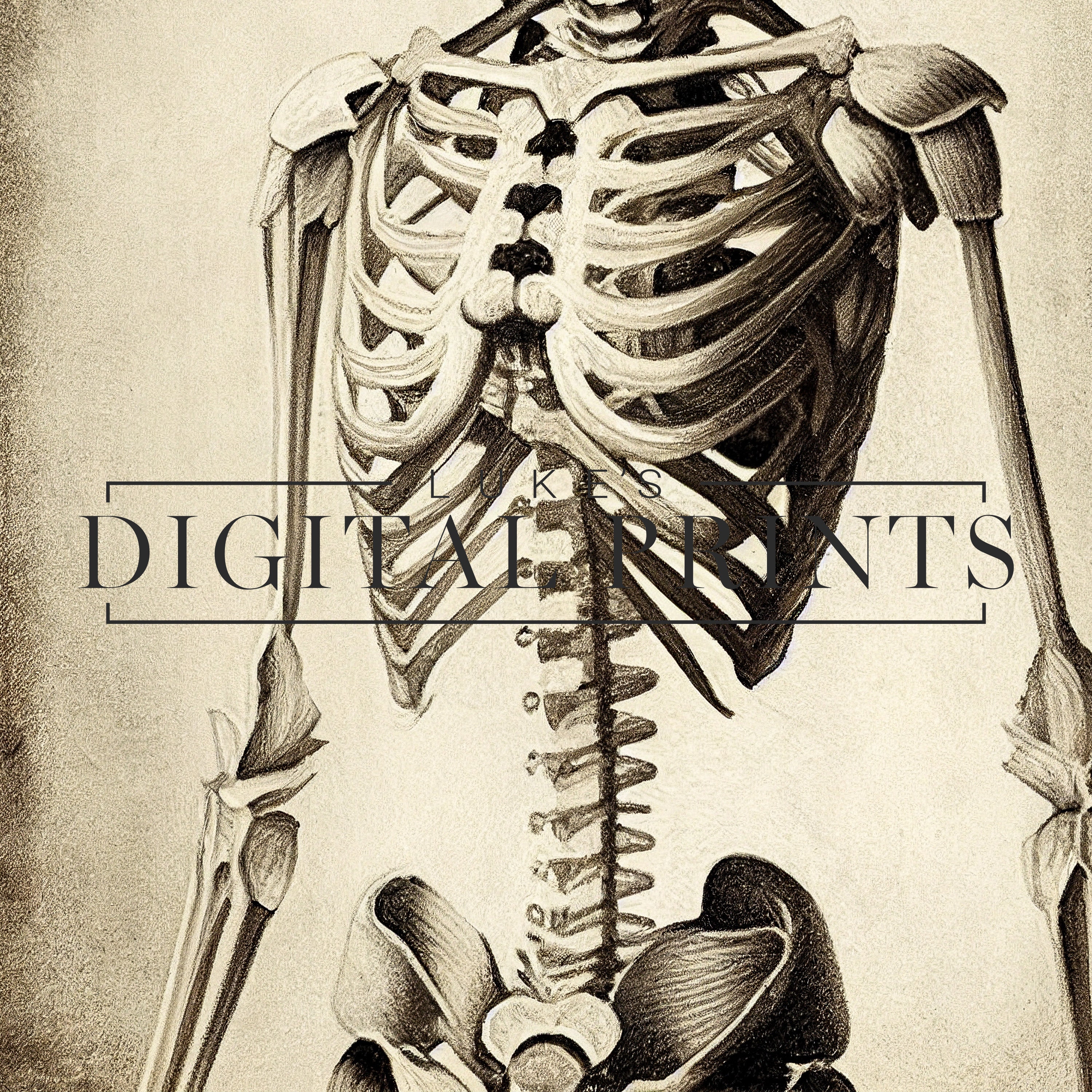 Squeleton Portrait Vintage Skeleton Portrait Sketch Digital Print - Instant Poster ...