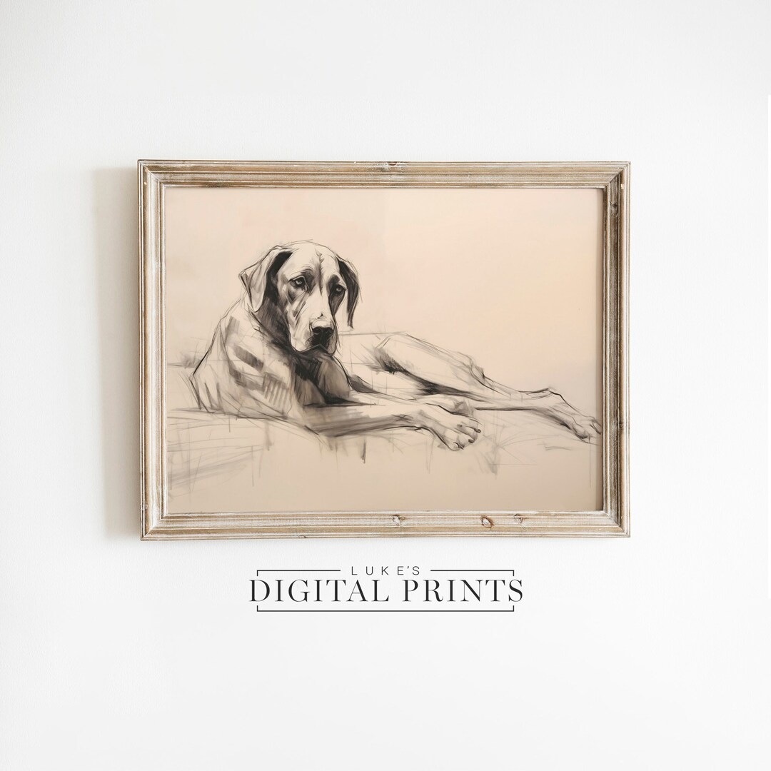 Great Dane Print Digital Art Download Laying Dog Portrait Drawing ...