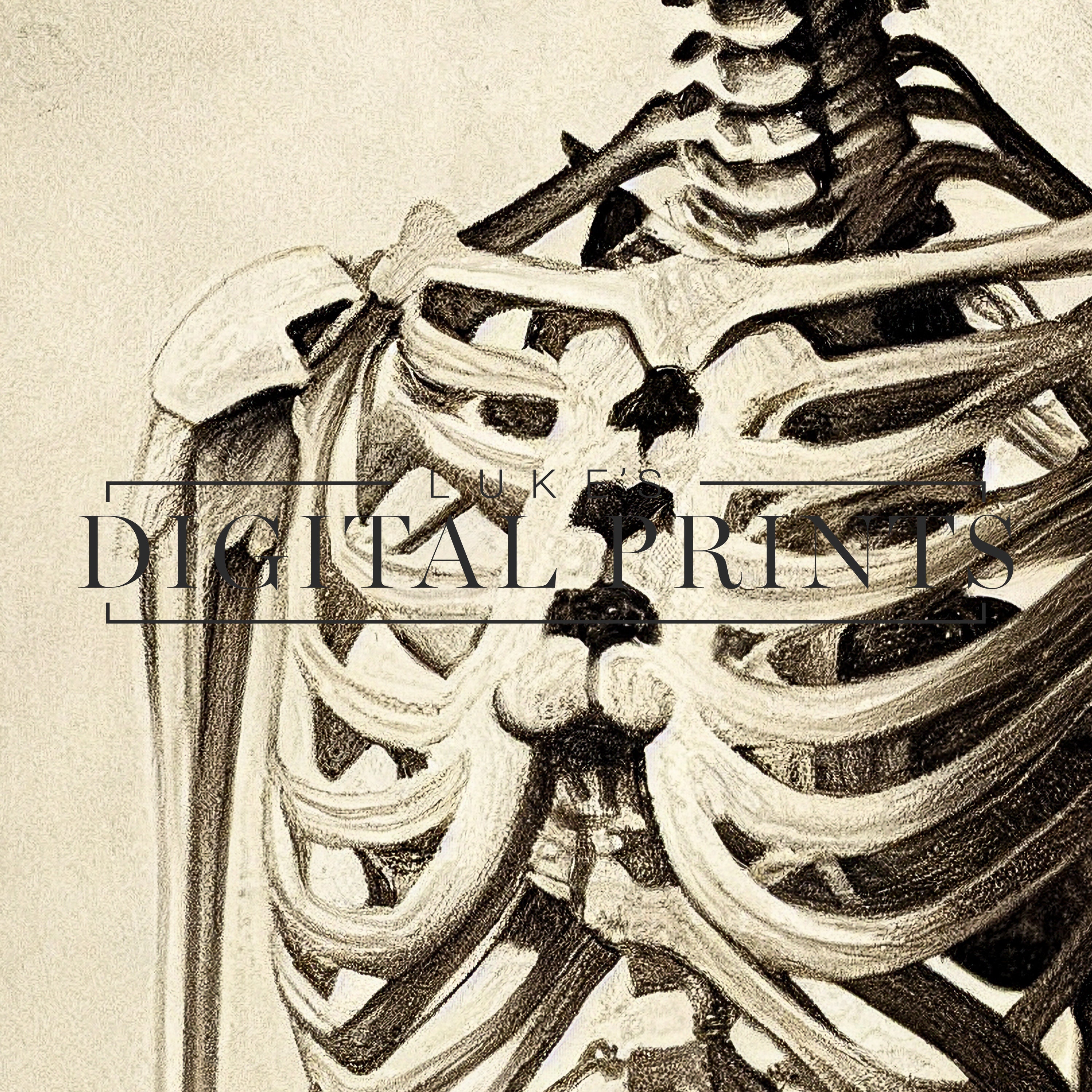 Squeleton Portrait Vintage Skeleton Portrait Sketch Digital Print Instant - Etsy